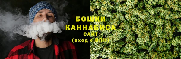 Альфа ПВП Бородино