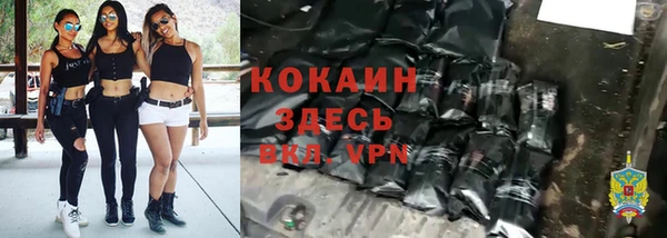Альфа ПВП Бородино