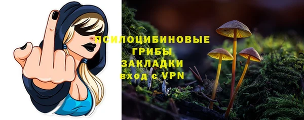 герыч Бронницы